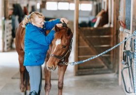 6 Reasons To Cross-Train Your Horse
